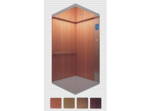 湖南別墅電梯-VEB-H003別墅電梯